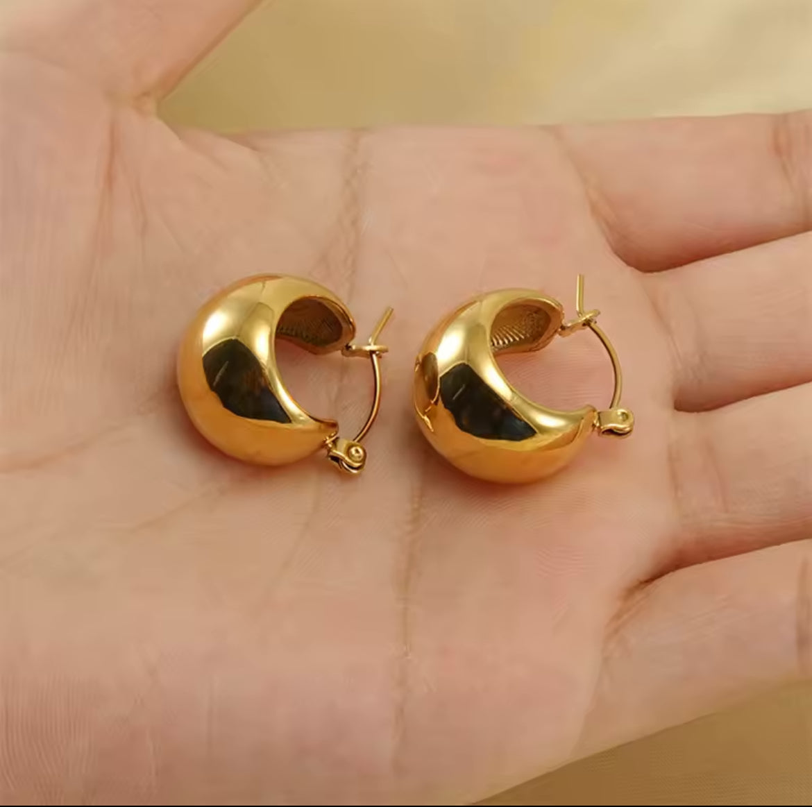 Aretes Carola