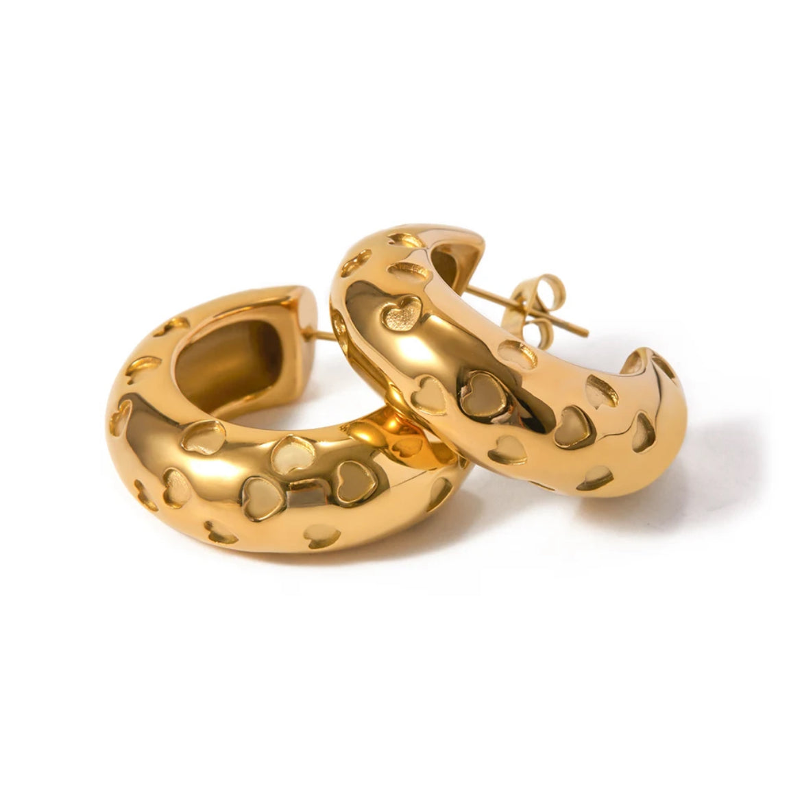 Flavia aretes/Earcuff