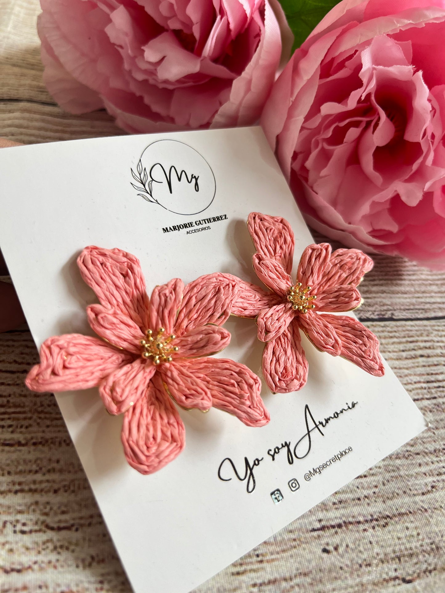 Aretes Brindis