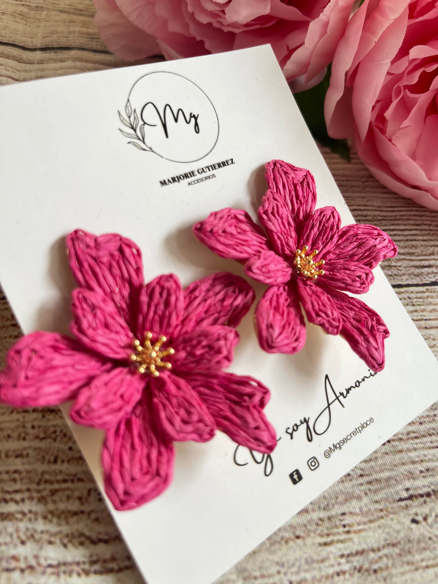 Aretes Brindis
