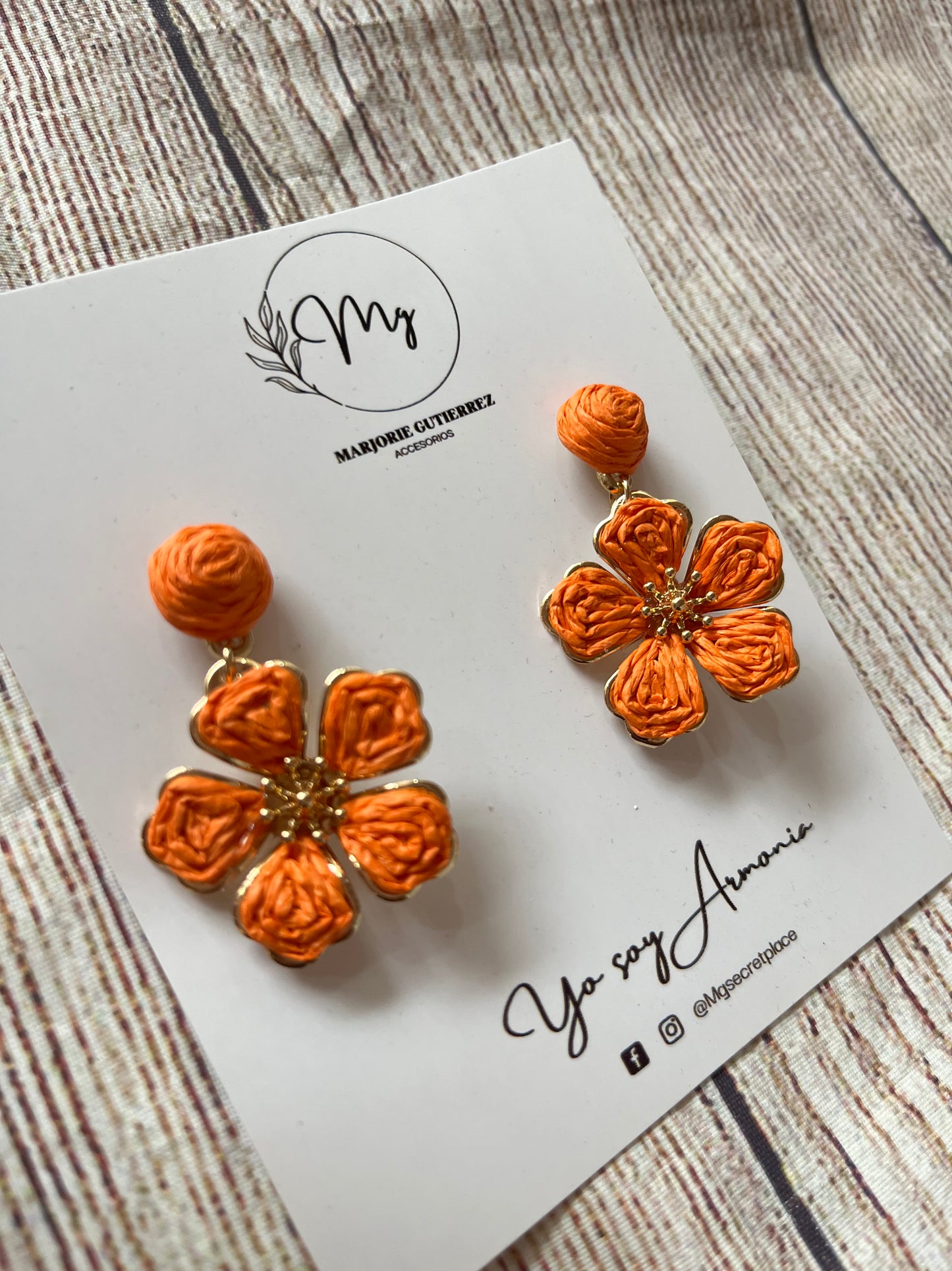 Aretes Brindis