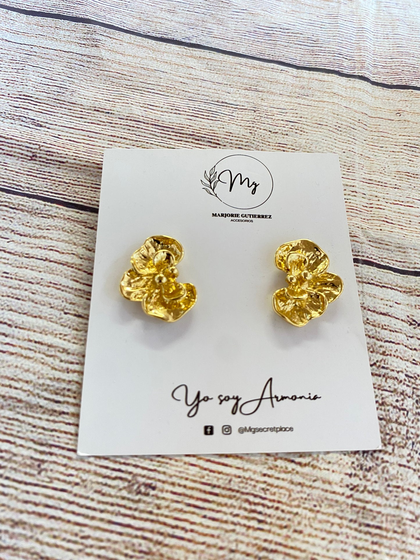 Aretes Anastacia