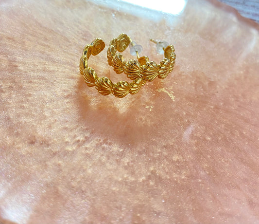 Aretes concha